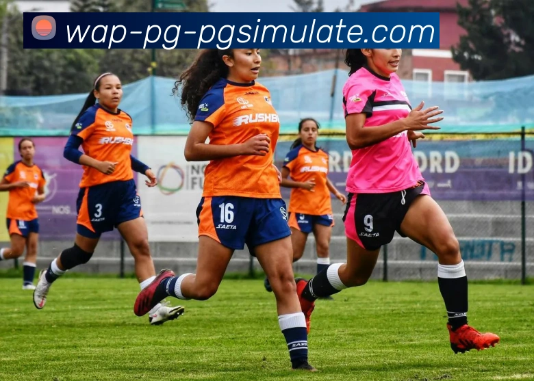 pg模拟器服务体系